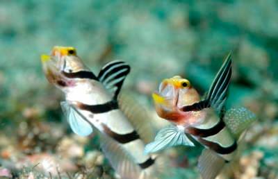 �����@�T���K�E�h